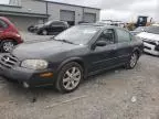 2002 Nissan Maxima GLE