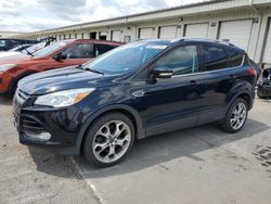 Ford salvage cars for sale: 2014 Ford Escape Titanium