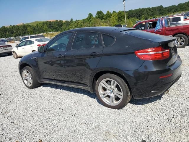 2013 BMW X6 M