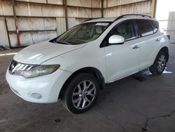 Nissan Murano salvage cars for sale: 2009 Nissan Murano S