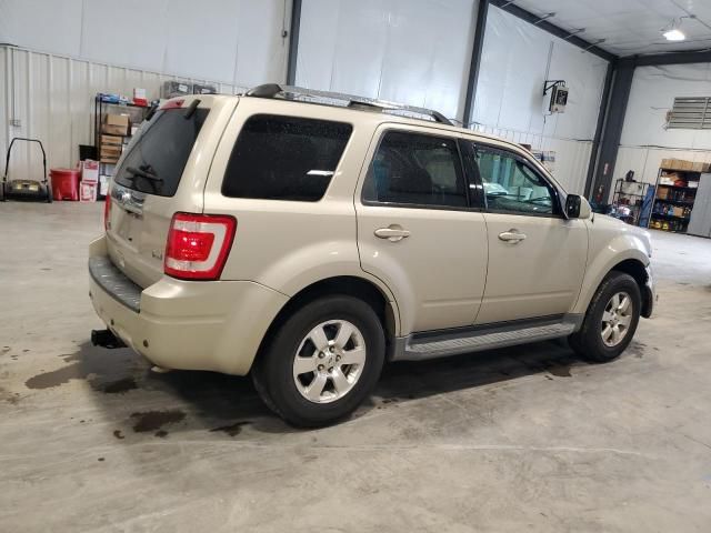 2011 Ford Escape Limited