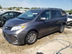 2019 Toyota Sienna XLE