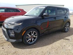 KIA Soul salvage cars for sale: 2020 KIA Soul EX