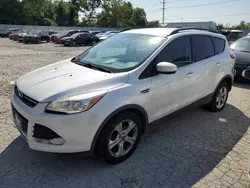 Ford Vehiculos salvage en venta: 2014 Ford Escape SE