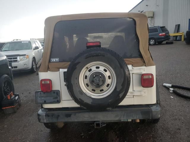 2001 Jeep Wrangler / TJ SE