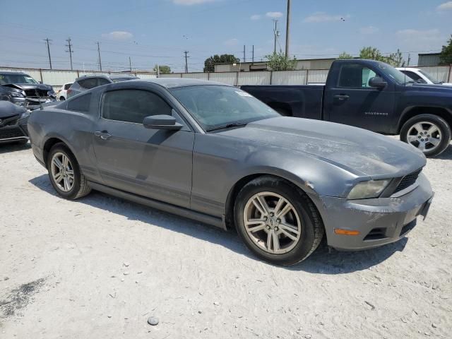 2010 Ford Mustang