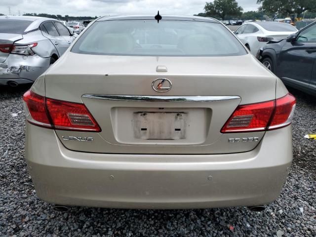 2010 Lexus ES 350