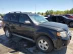 2009 Ford Escape XLT