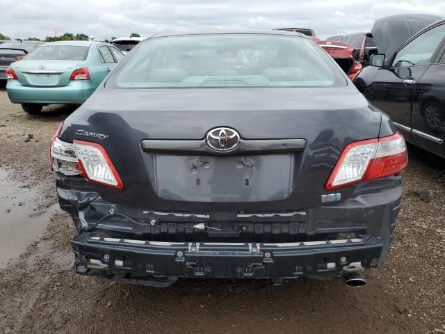 2009 Toyota Camry Hybrid