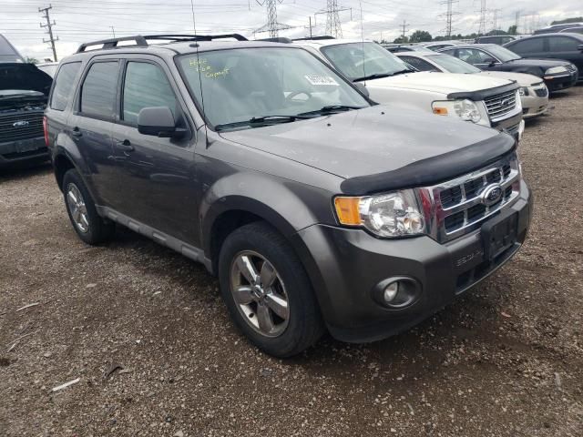 2009 Ford Escape XLT