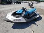 2018 Other Jetski