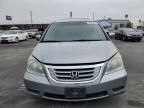 2010 Honda Odyssey EXL