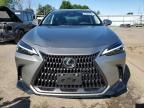 2023 Lexus NX 250