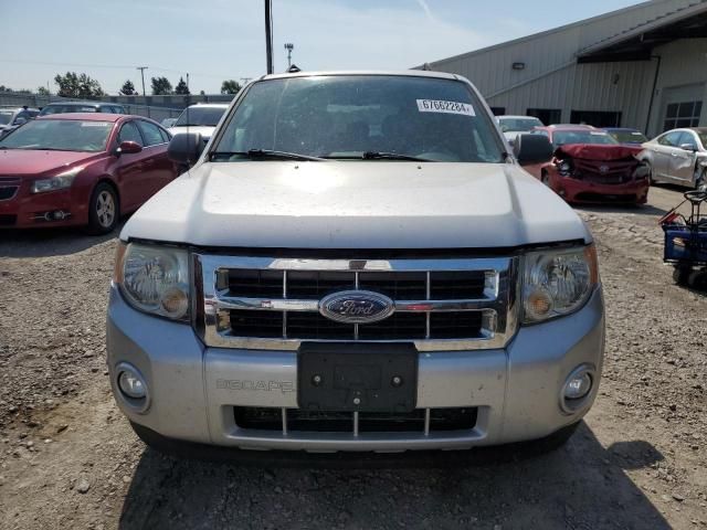 2009 Ford Escape XLT