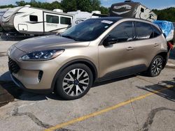 Salvage cars for sale at Sikeston, MO auction: 2020 Ford Escape SE Sport