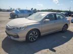 2016 Honda Accord EXL