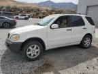 2002 Mercedes-Benz ML 500