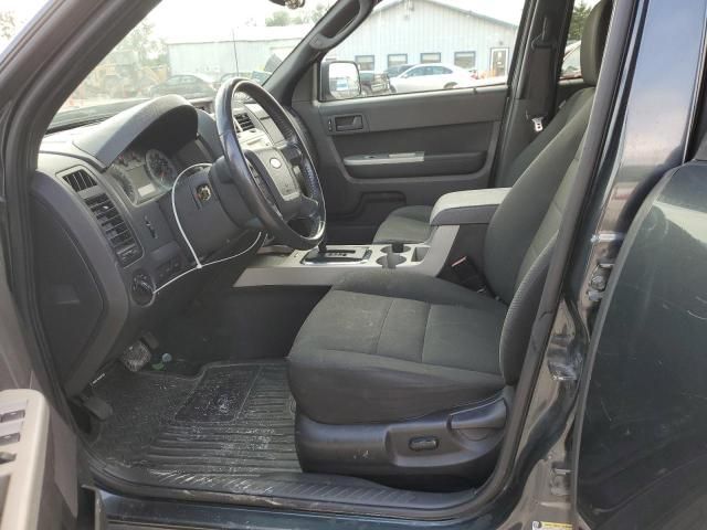 2009 Ford Escape XLT