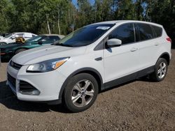 Salvage cars for sale from Copart Cookstown, ON: 2013 Ford Escape SE