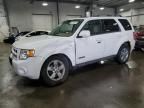 2008 Ford Escape Limited