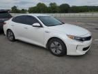 2017 KIA Optima Hybrid