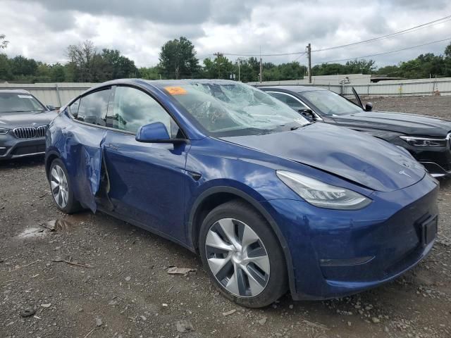 2020 Tesla Model Y