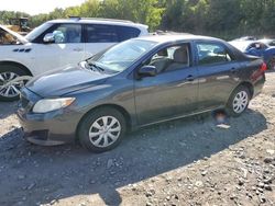 Toyota salvage cars for sale: 2010 Toyota Corolla Base