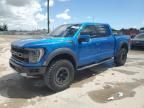 2021 Ford F150 Raptor