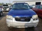 2005 Ford Escape HEV