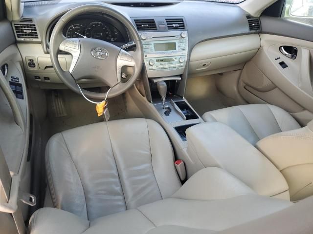 2009 Toyota Camry Hybrid