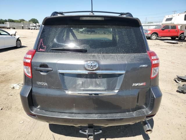 2010 Toyota Rav4 Sport