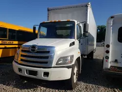 Salvage trucks for sale at Avon, MN auction: 2017 Hino 258 268