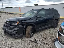 Honda salvage cars for sale: 2024 Honda Pilot Trailsport