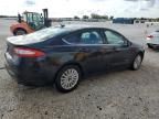 2014 Ford Fusion SE Hybrid