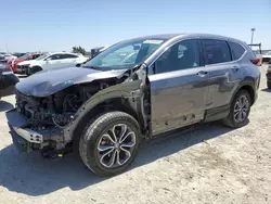 Salvage cars for sale at Antelope, CA auction: 2020 Honda CR-V EX