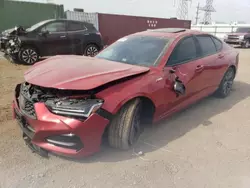 Salvage cars for sale at Elgin, IL auction: 2023 Acura TLX Tech A