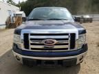 2009 Ford F150