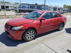 Toyota salvage cars for sale: 2007 Toyota Camry LE