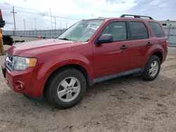 Ford salvage cars for sale: 2012 Ford Escape XLT