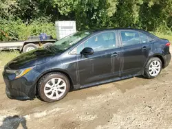 Toyota salvage cars for sale: 2021 Toyota Corolla LE