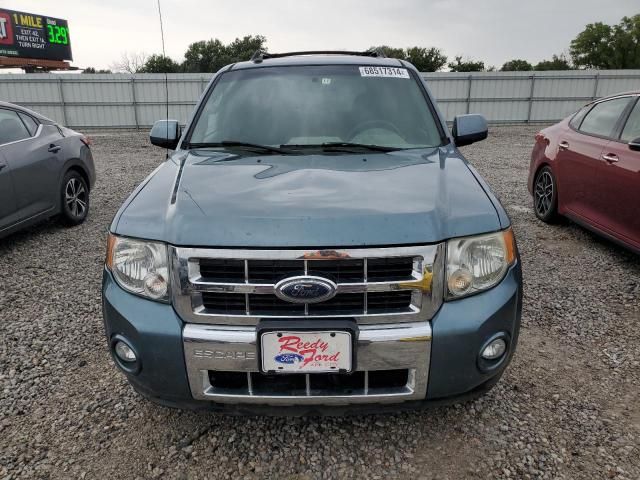 2010 Ford Escape Limited