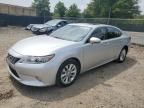 2013 Lexus ES 300H