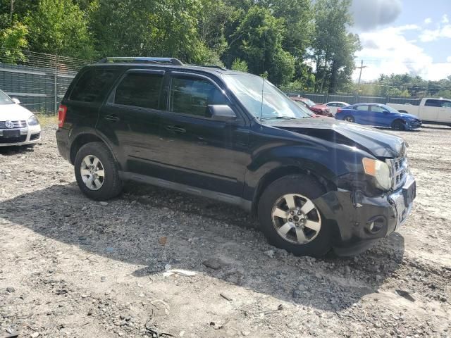 2010 Ford Escape Limited