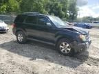 2010 Ford Escape Limited