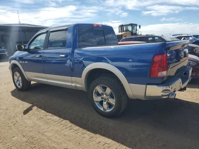 2010 Dodge RAM 1500