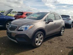 Salvage cars for sale at Elgin, IL auction: 2015 Buick Encore