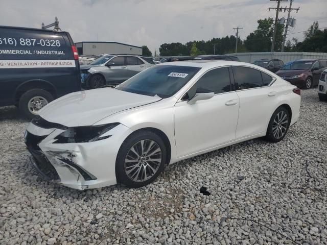 2019 Lexus ES 350