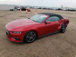 Muscle Cars for sale at auction: 2024 Ford Mustang