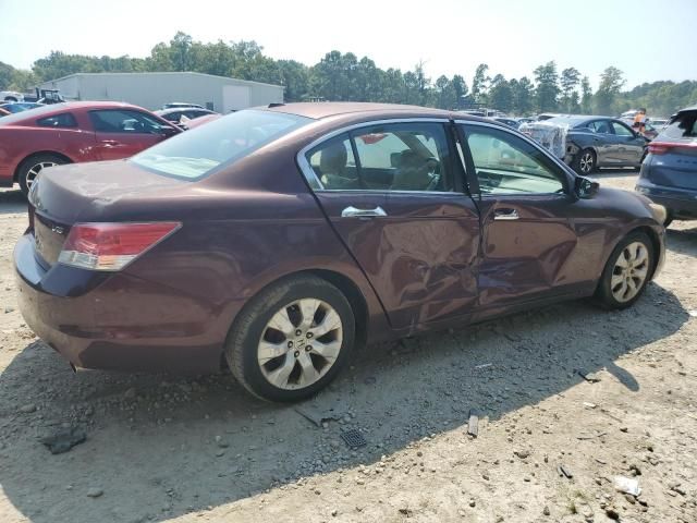 2010 Honda Accord EXL