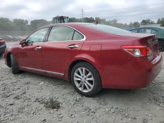 2010 Lexus ES 350